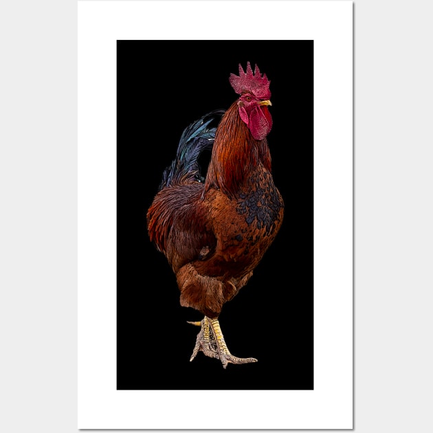rooster Wall Art by rickylabellevie
